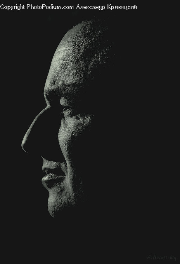 Person, Portrait, Selfie, Head, Face
