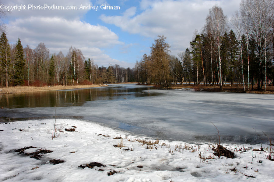 Ice, Outdoors, Snow, River, Water, Basin, Forest