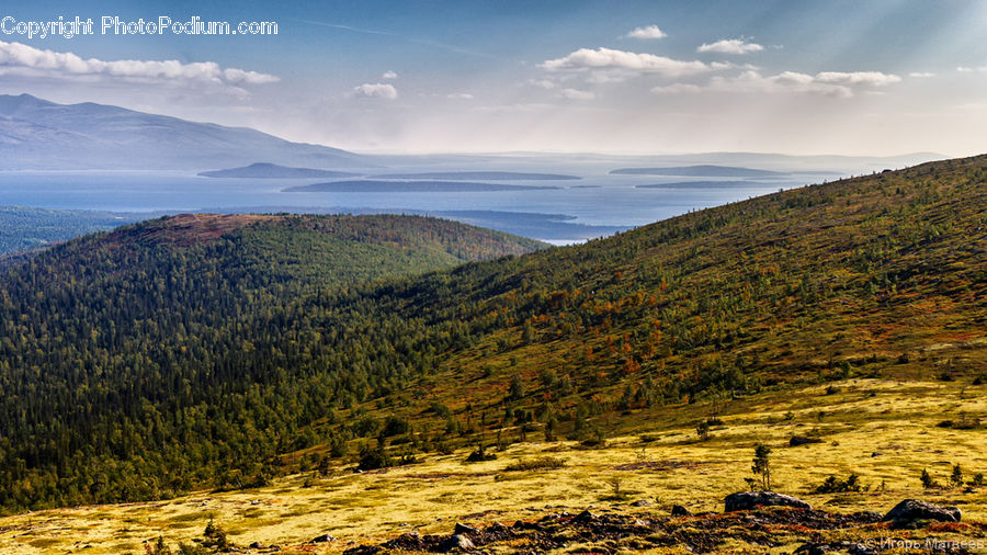 Crest, Mountain, Mountain Range, Outdoors, Peak, Conifer, Fir