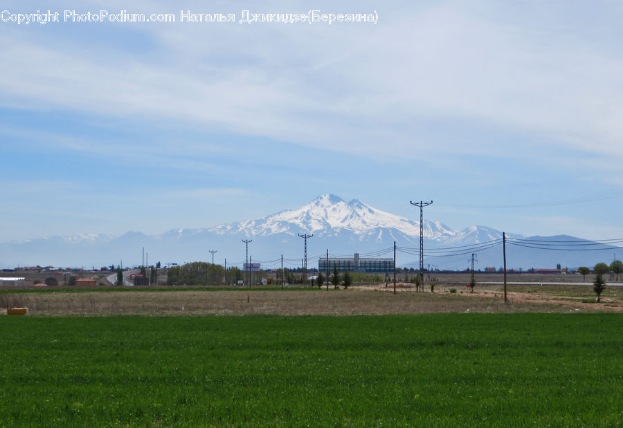 Field, Grass, Grassland, Land, Outdoors, Plant