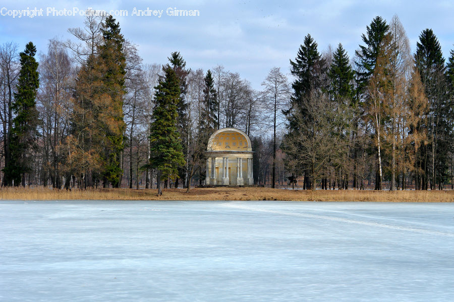 Gazebo, Conifer, Fir, Plant, Tree, Tomb, Architecture