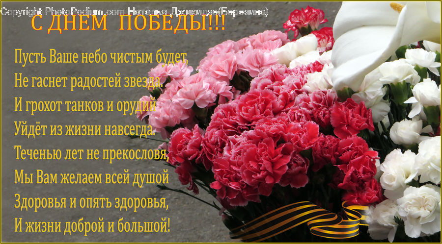Blossom, Flower, Peony, Plant, Floral Design, Flower Arrangement, Flower Bouquet