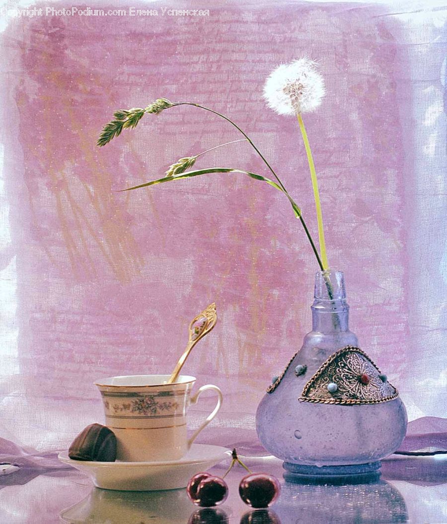 Blossom, Flower, Lilac, Plant, Cup, Porcelain, Saucer