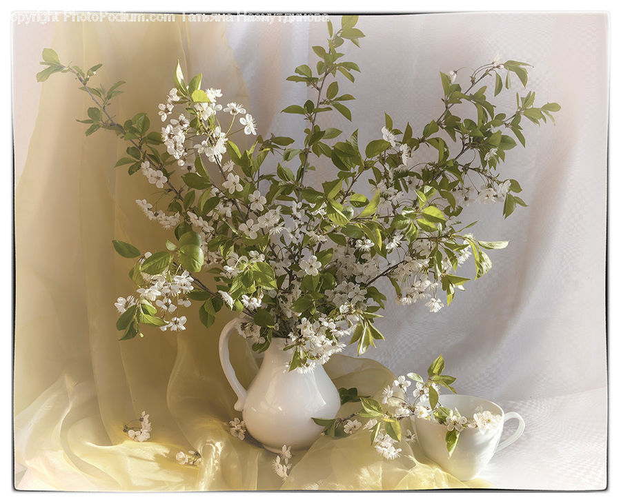 Blossom, Flower, Lilac, Plant, Flower Arrangement, Ikebana, Potted Plant
