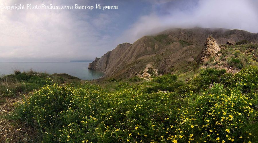 Outdoors, Plateau, Field, Grass, Grassland, Plant, Land