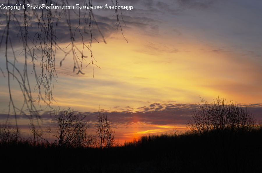 Dawn, Dusk, Red Sky, Sky, Sunrise, Sunset, Field