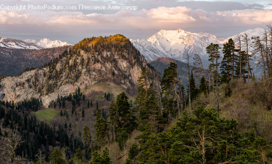 Crest, Mountain, Outdoors, Peak, Mountain Range, Conifer, Fir