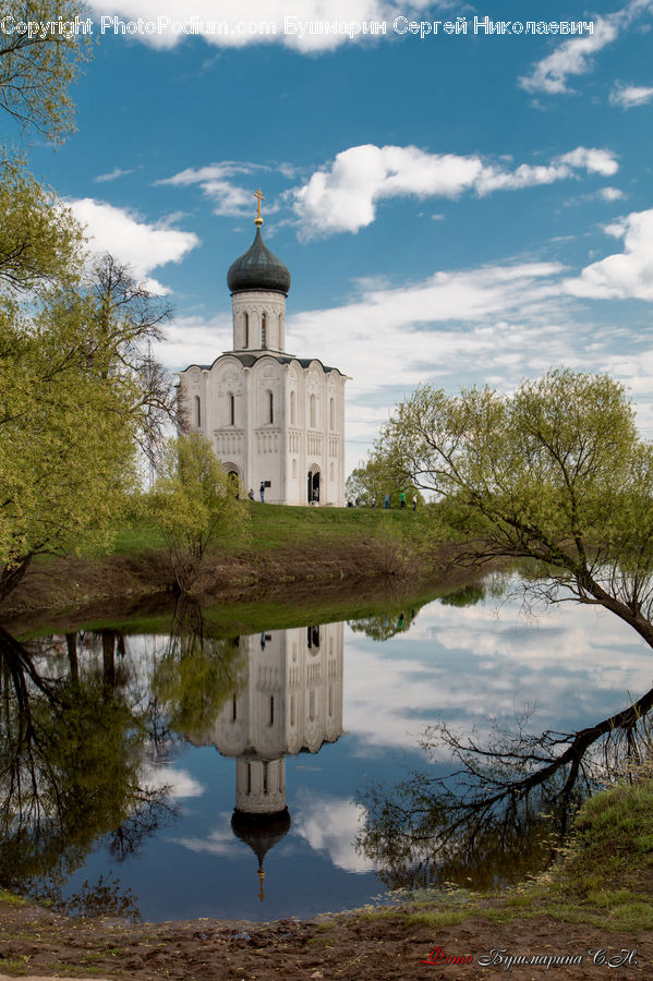 Architecture, Bell Tower, Clock Tower, Tower, Plant, Tree, Castle