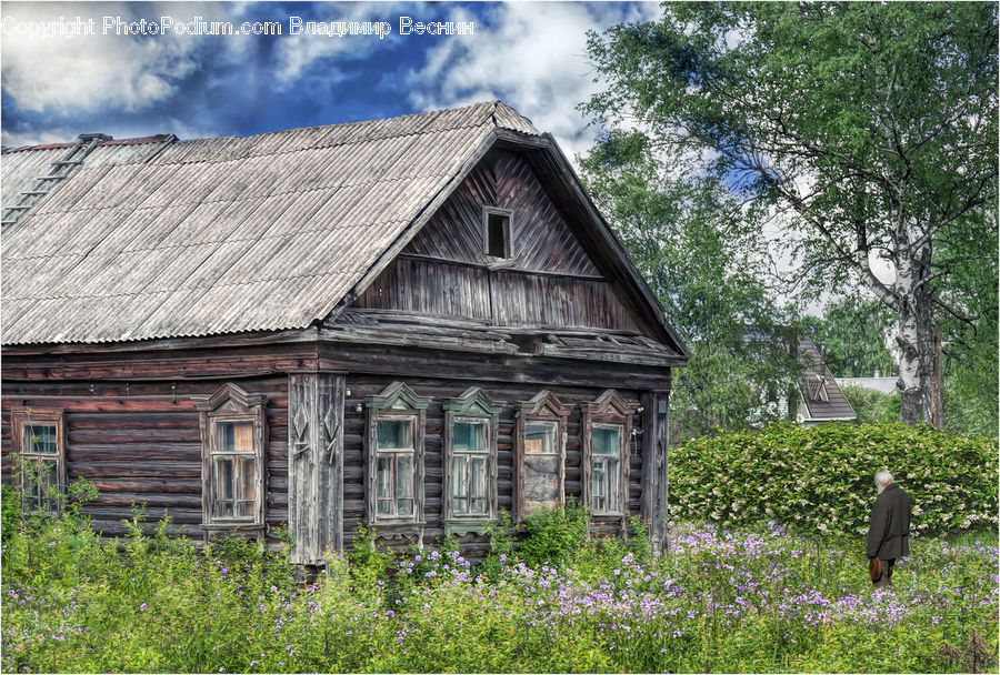 Building, Cottage, Housing, Cabin, Shelter, House, Hut