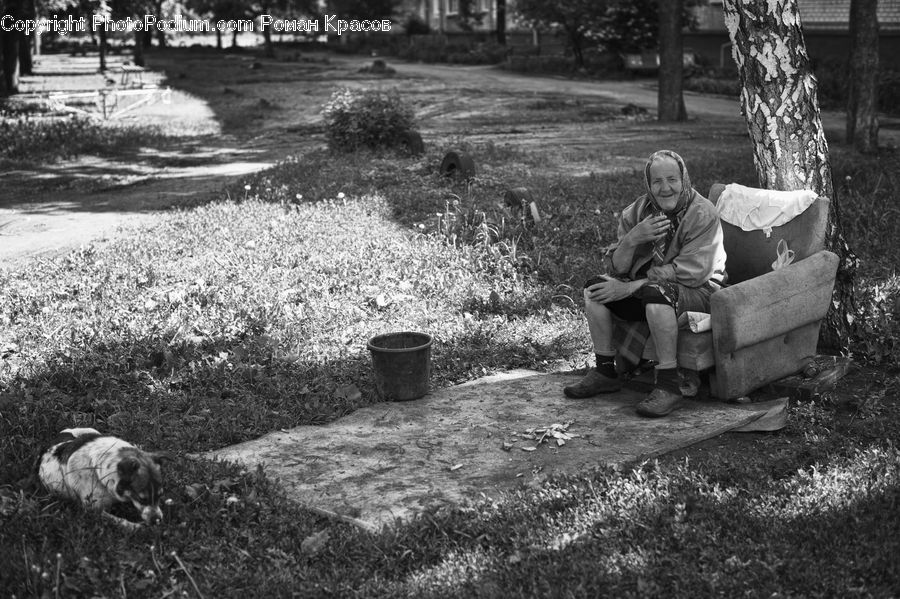 People, Person, Human, Bench, Birch, Tree, Wood