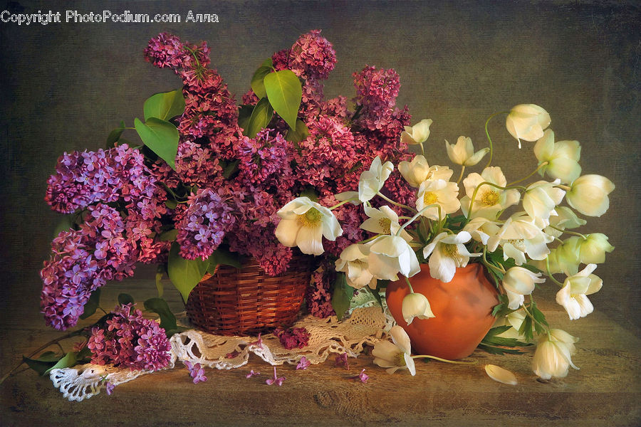 Flower, Flower Arrangement, Flower Bouquet, Floral Design, Ikebana, Blossom, Flora