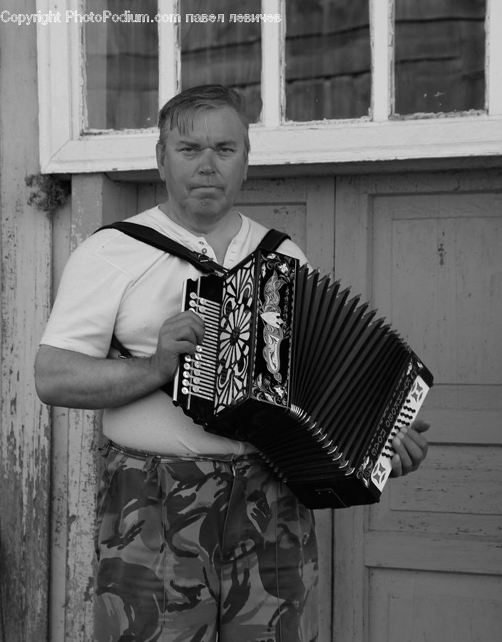 Accordion, Musical Instrument, People, Person, Human, Art, Modern Art