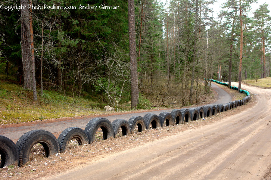 Tire, Forest, Vegetation, Dirt Road, Gravel, Road, Pipeline