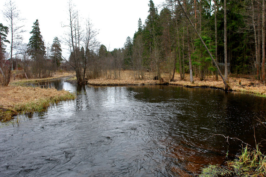 Land, Marsh, Outdoors, Swamp, Water, Creek, River