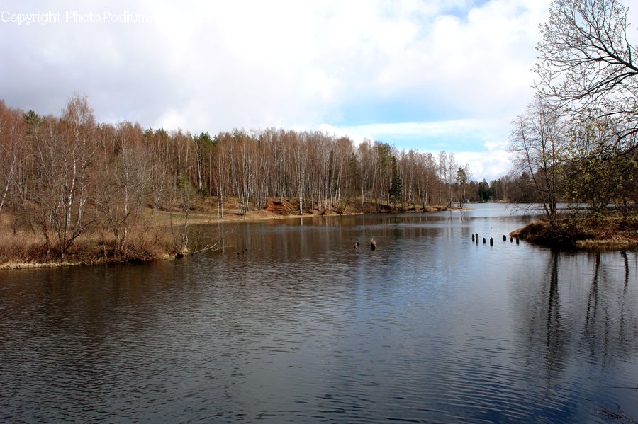 Lake, Outdoors, Water, Pond, Land, Marsh, Swamp