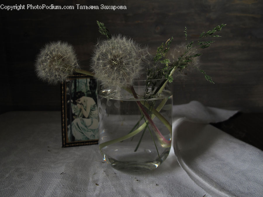 Glass, Flower Arrangement, Ikebana, Plant, Potted Plant, Vase, Goblet