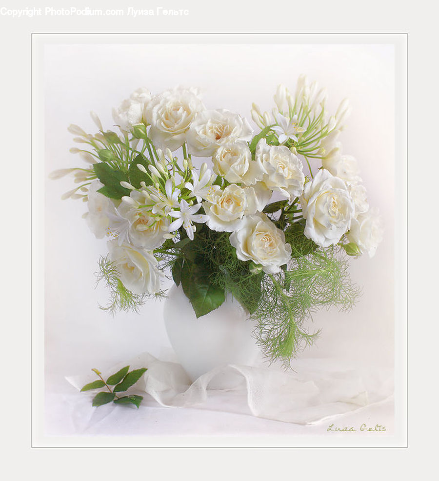 Blossom, Flower, Peony, Plant, Floral Design, Flower Arrangement, Flower Bouquet