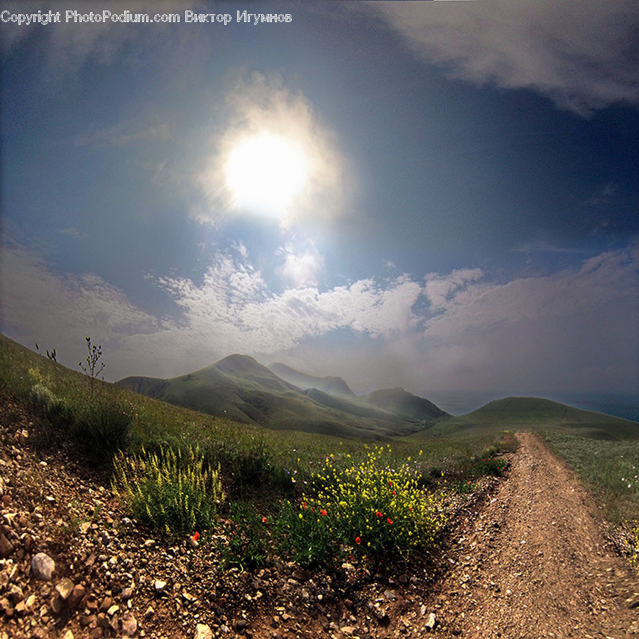 Dirt Road, Gravel, Road, Soil, Plant, Vegetation, Landscape