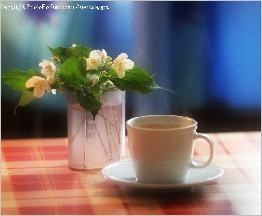 Plant, Potted Plant, Coffee Cup, Cup, Flower Arrangement, Ikebana, Vase