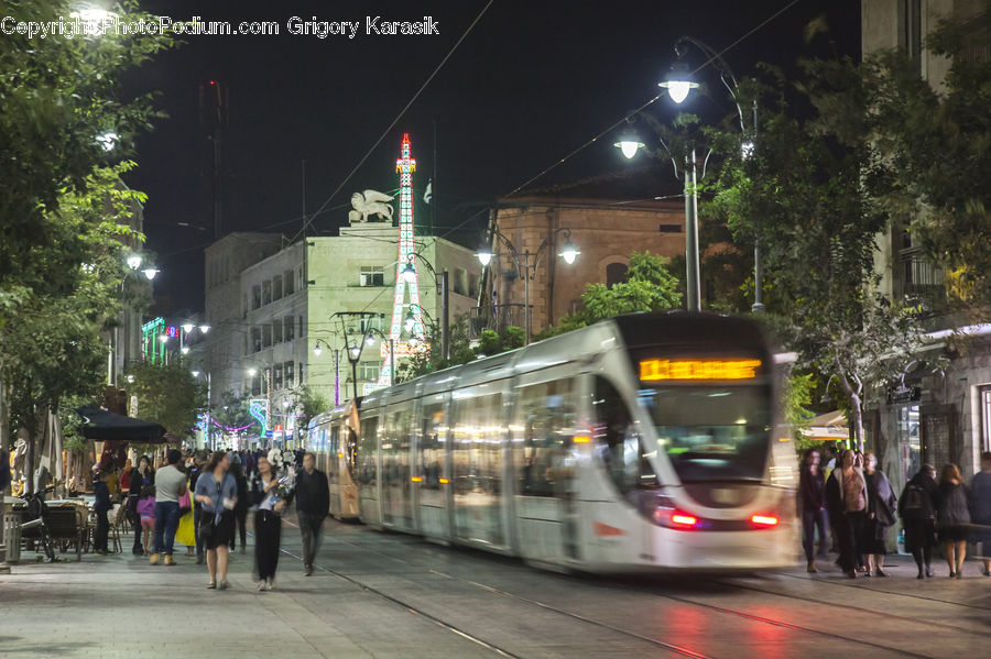 Bus, Vehicle, Plant, Potted Plant, Rail, Streetcar, Tram