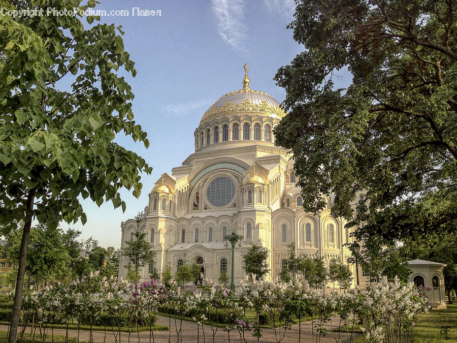Architecture, Dome, Cathedral, Church, Worship, Blossom, Flower