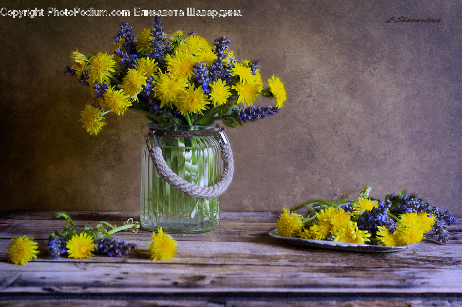 Flower, Mimosa, Plant, Bonsai, Potted Plant, Tree, Flower Arrangement