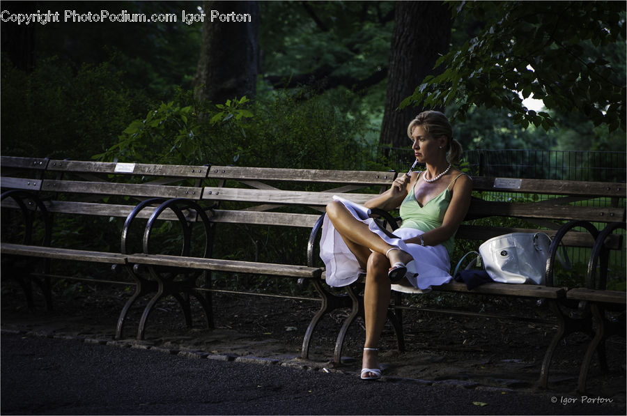 People, Person, Human, Reading, Bench, Leisure Activities