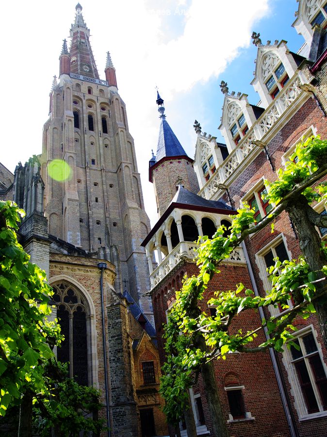 Brick, Ivy, Plant, Vine, Architecture, Bell Tower, Clock Tower