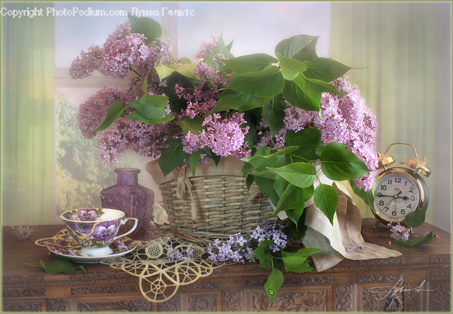 Blossom, Flower, Lilac, Plant, Flora, Floral Design, Flower Arrangement