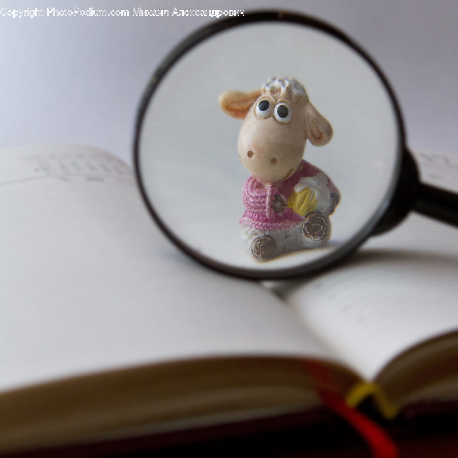 Glasses, Goggles, Porcelain, Saucer, Diary, Text