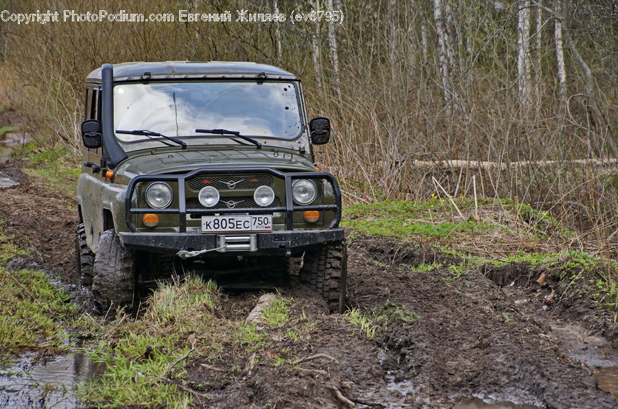 Car, Offroad, Jeep, Vehicle, Land, Marsh, Outdoors