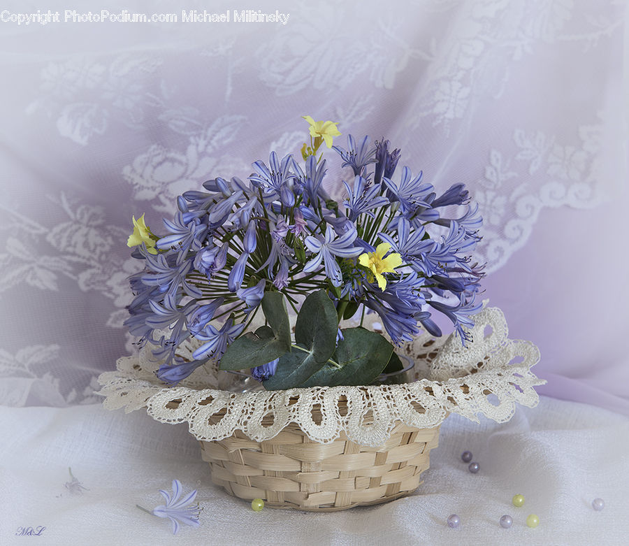 Flower, Flower Arrangement, Flower Bouquet, Floral Design, Ikebana, Blossom, Lilac