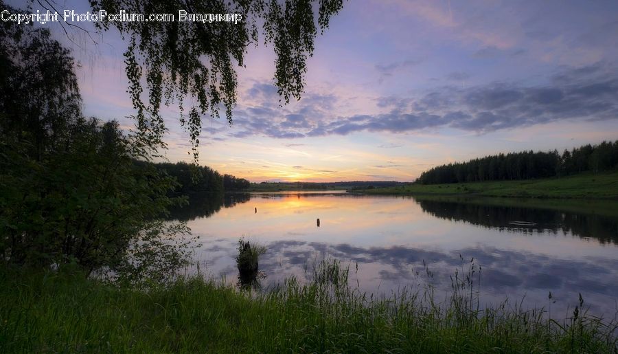 Outdoors, Pond, Water, Field, Grass, Grassland, Plant