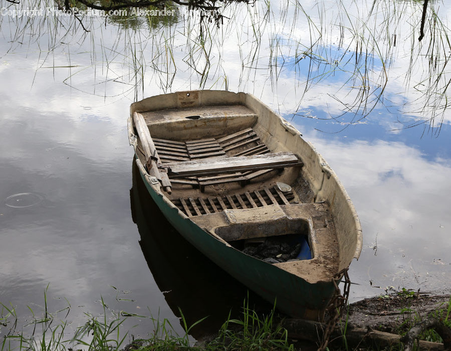 Boat, Dinghy, Grass, Plant, Reed, Rowboat, Vessel