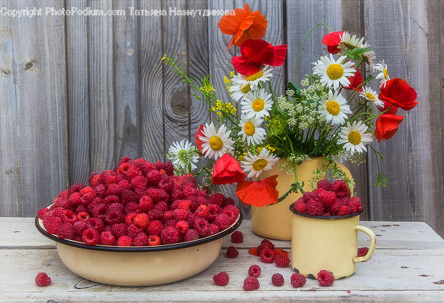 People, Person, Human, Fruit, Raspberry, Floral Design, Flower