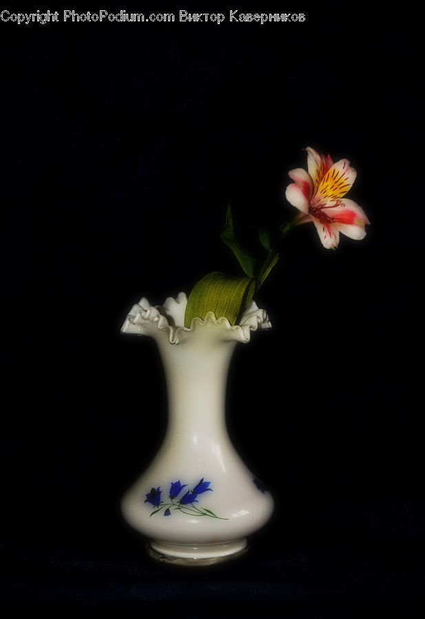 Jar, Porcelain, Vase, Art, Pottery, Blossom, Flora