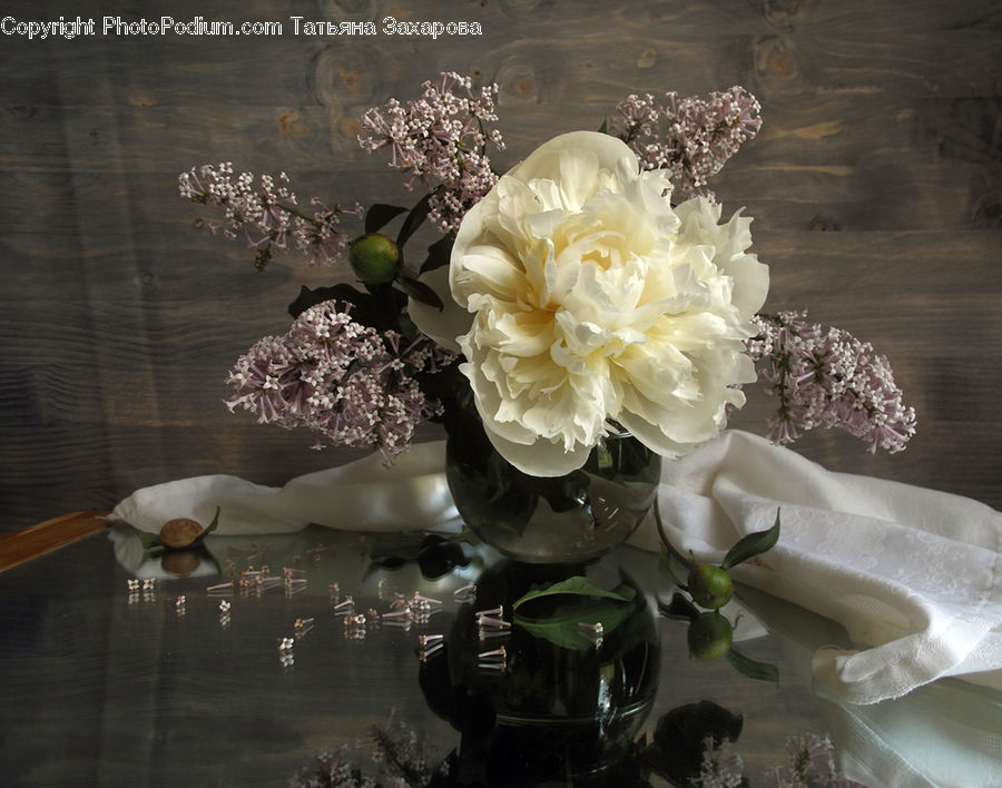 Blossom, Flora, Flower, Plant, Lilac, Flower Arrangement, Flower Bouquet