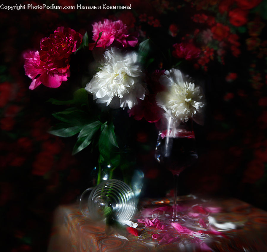 Glass, Floral Design, Flower, Flower Arrangement, Flower Bouquet, Ikebana, Goblet