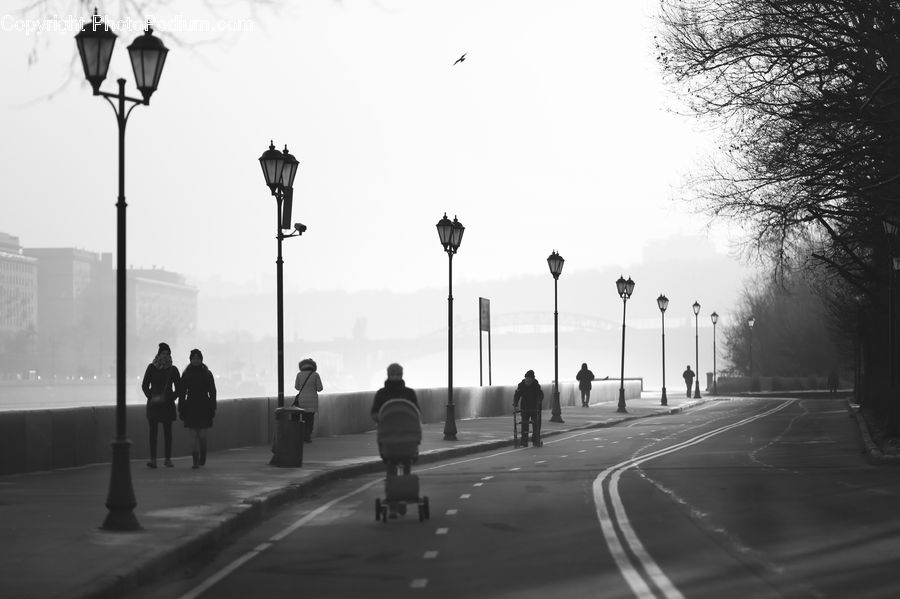 Fog, Pollution, Smog, Smoke, Road, Intersection, City