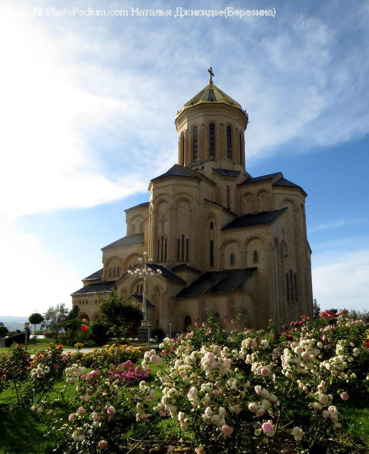 Architecture, Bell Tower, Clock Tower, Tower, Building, Housing, Villa