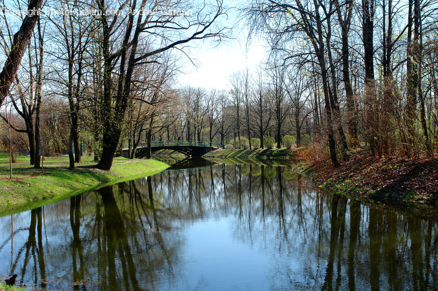 Canal, Outdoors, River, Water, Land, Marsh, Swamp