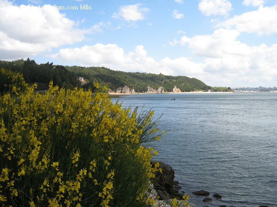 Lake, Outdoors, Water, Landscape, Nature, Scenery, Promontory