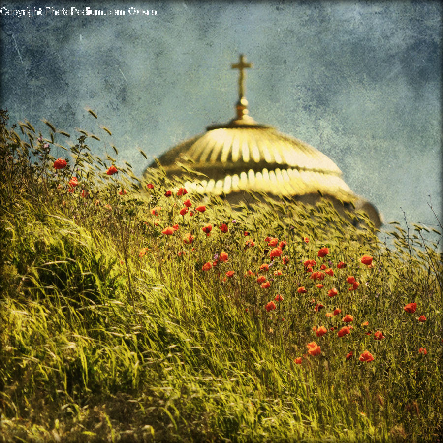 Architecture, Dome, Mosque, Worship, Field, Grass, Grassland