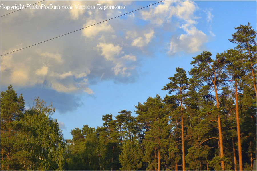 Azure Sky, Cloud, Outdoors, Sky, Cumulus, Landscape, Nature