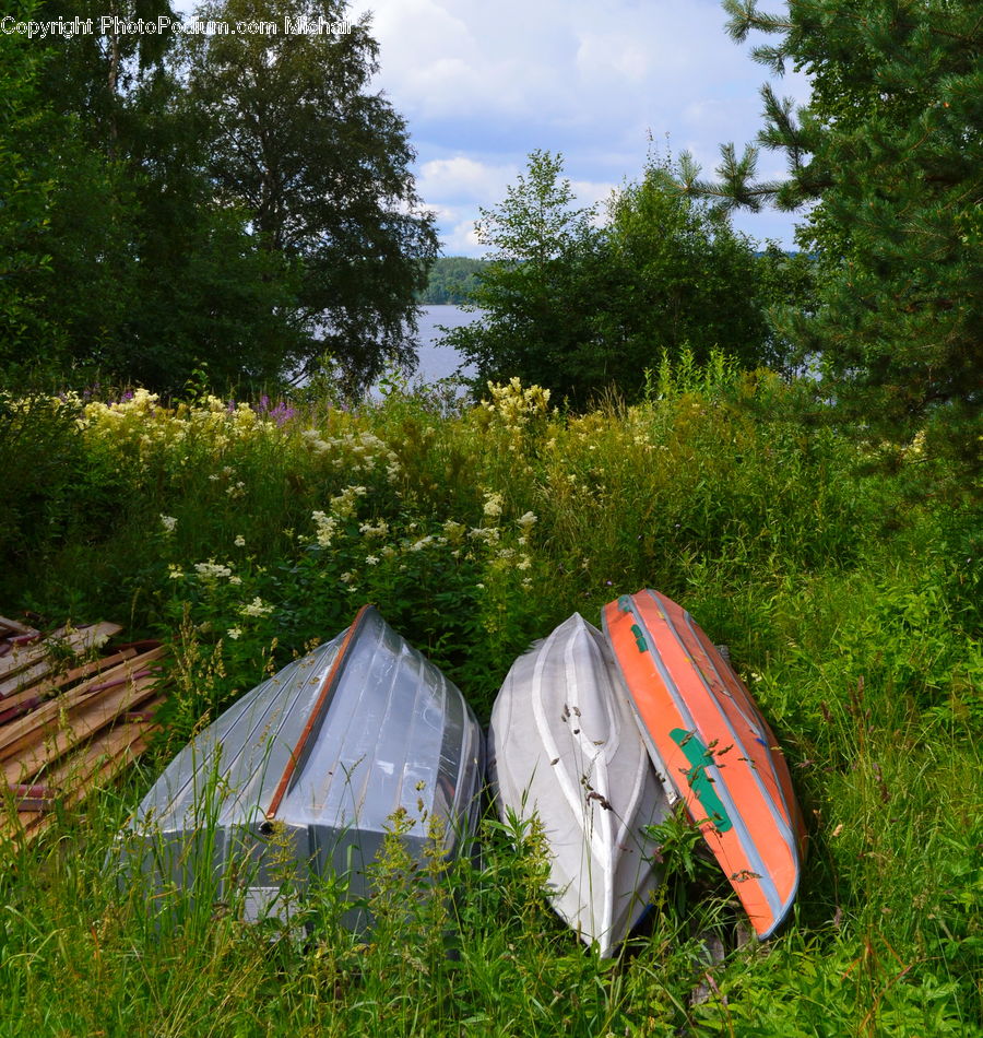 Camping, Boat, Dinghy, Tent, Grass, Plant, Reed