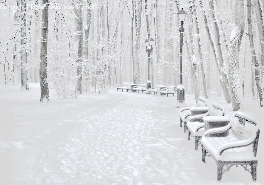 Blizzard, Outdoors, Snow, Weather, Winter, Chair, Furniture
