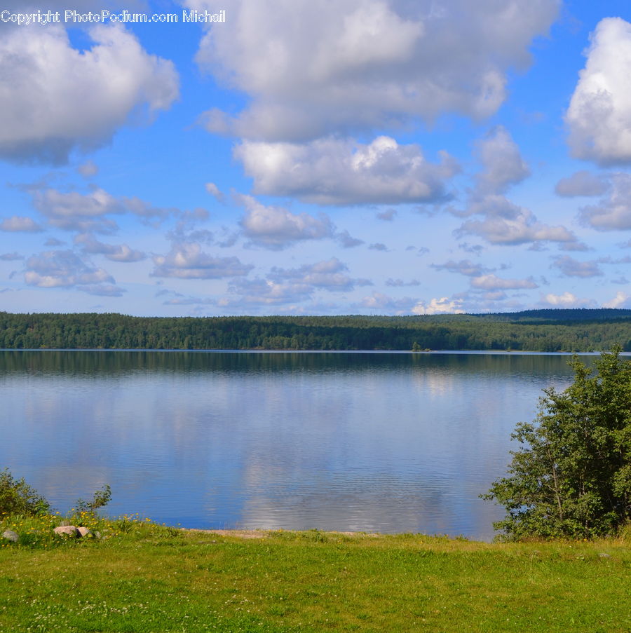 Field, Grass, Grassland, Land, Outdoors, Cloud, Cumulus