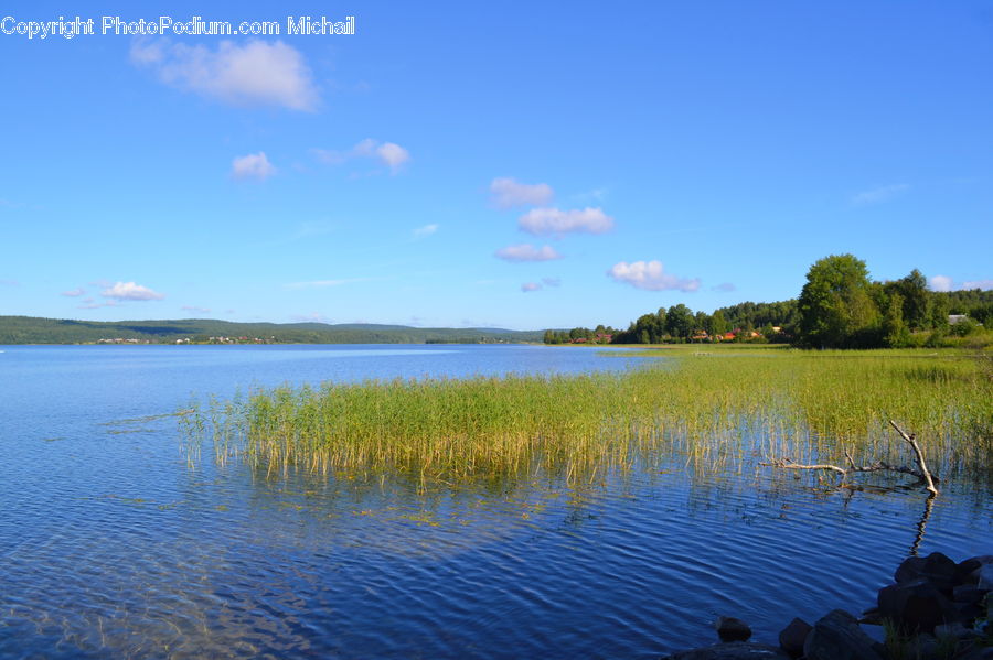 Lake, Outdoors, Water, Field, Grass, Grassland, Plant