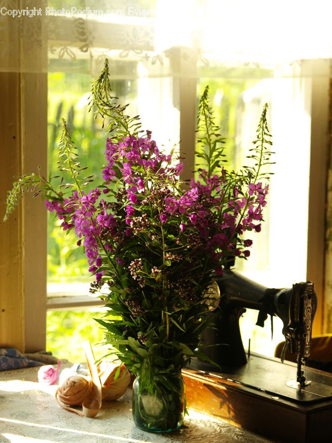 Plant, Potted Plant, Appliance, Machine, Sewing Machine, Flower Arrangement, Ikebana