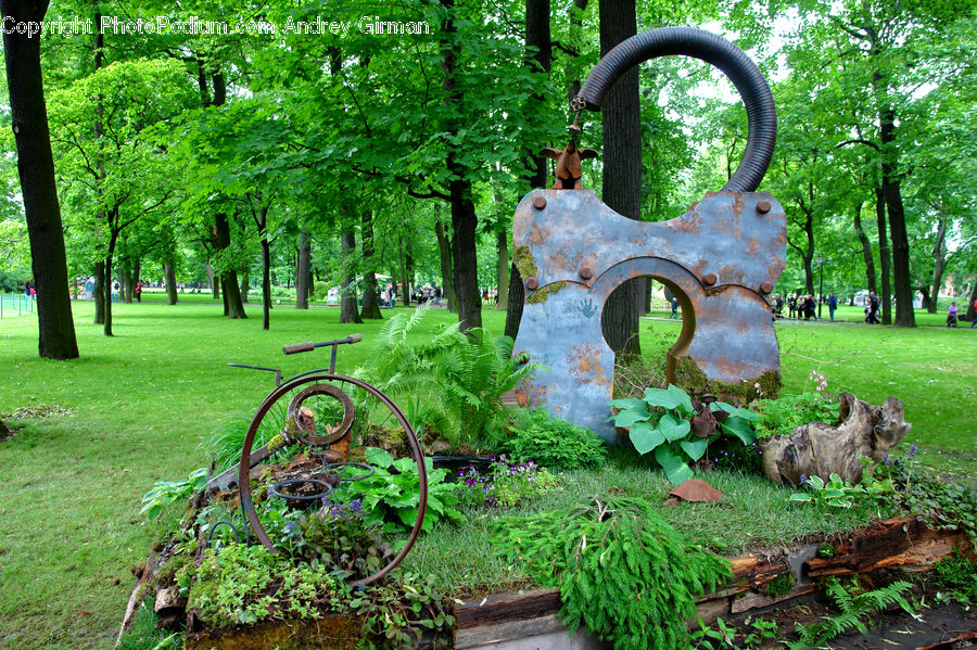 Bench, Conifer, Fir, Plant, Tree, Herbal, Herbs